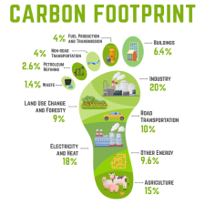 Carbon Footprint