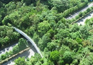 Eco-Bridges and their Significance
