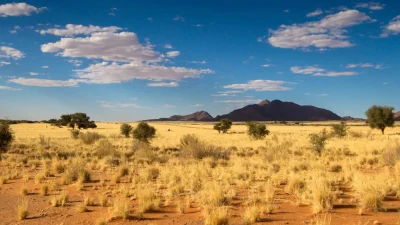 Dry Climates