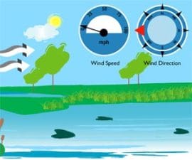 Wind direction and Wind Velocity
