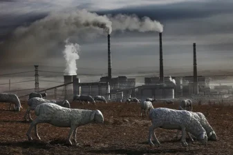 Factory Farming