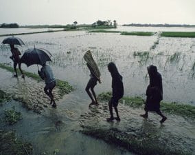 The Rainy Season