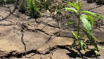 Soil Conservation
