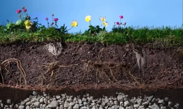 Soil Degradation