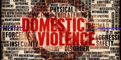 UN 18 principles & Domestic Violence Act