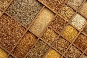 Major Crops