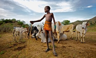 Pastoralism