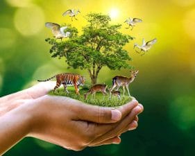 Wildlife Conservation