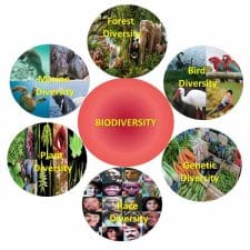 Biodiversity Conservation