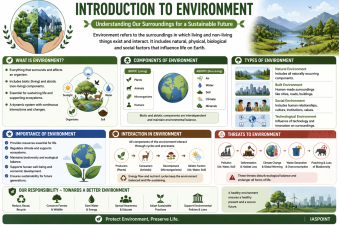 Introduction to Environment