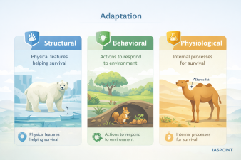 Adaptation
