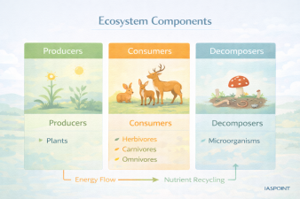 Ecosystem Components
