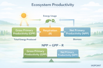 Ecosystem Productivity