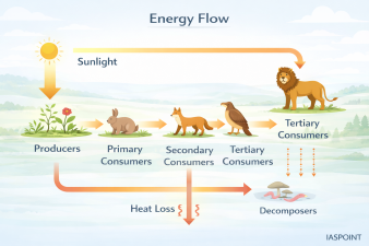 Energy Flow