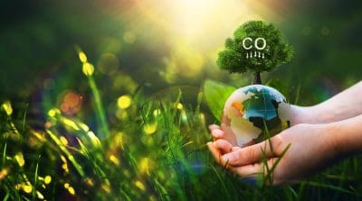 Environmental Management