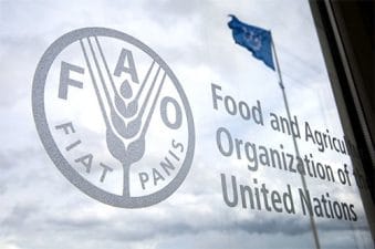 Food and Agriculture Organization (FAO)
