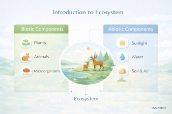 Introduction to Ecosystem