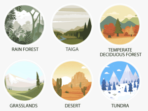 Major Biomes of the world