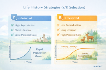 Life History Strategies (r/K Selection)