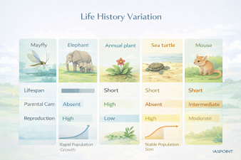 Life History Variation