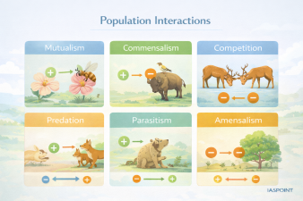 Population Interactions