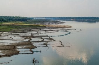 Coral Bleaching and National Lakes Conservation Plan