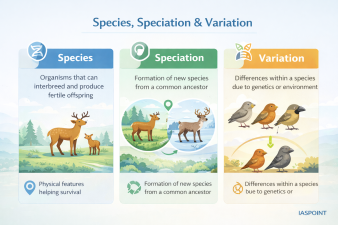 Species, Speciation & Variation