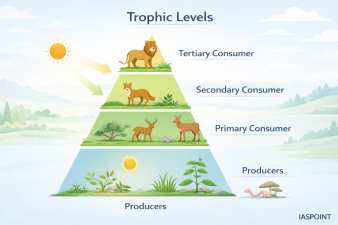 Trophic Levels