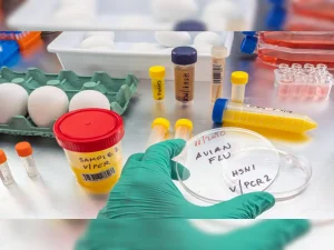 H9N2 vaccine
