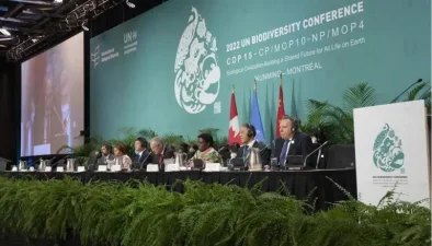 Chronology of World Biodiversity Efforts