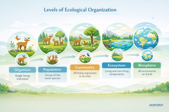Levels of Ecological Organization