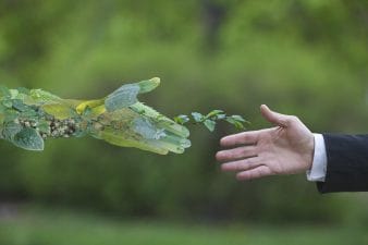 Botanic Garden of Indian and Forest Conservation