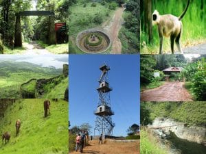 Tiger Reserve and National Park