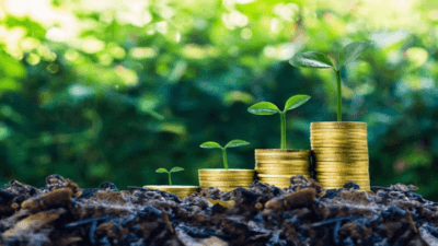 Green Bonds