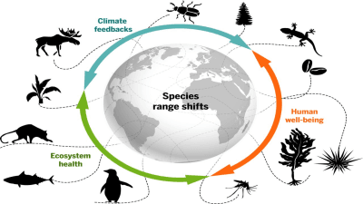 Human Disturbance Altering Animal Interactions in Ecosystems