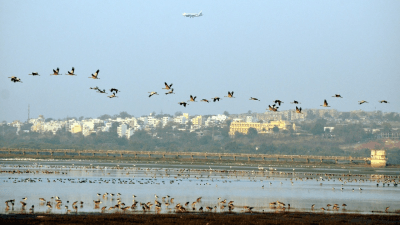 Preserving the Biodiversity of the Bhoj Wetland