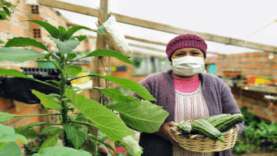 Rising Food Insecurity in Asia: A Growing Concern Amidst COVID-19 and Economic Downturn
