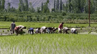The Importance of Grazing Land (Kahcharai Land) and Its Preservation