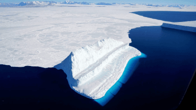 Sea Ice