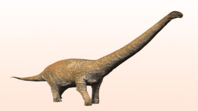 Chucarosaurus diripienda