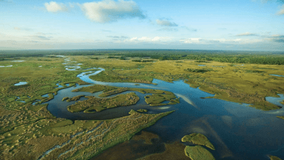 Everglades