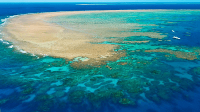 Central Queensland Coal Project
