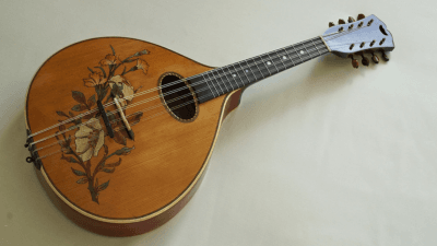 Mandolin