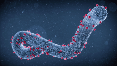 Marburg Virus Disease
