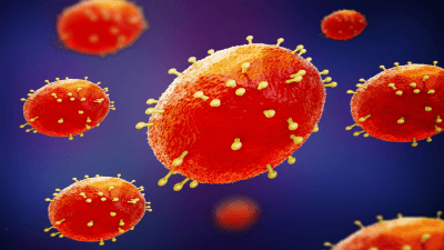 Mpox Virus