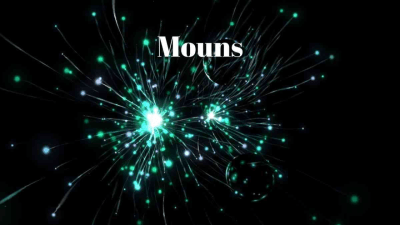 Muons