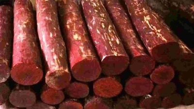 Red Sanders