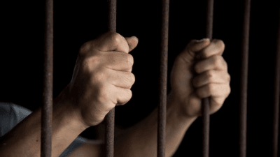 Investigation Tracking System for Sexual Offenses