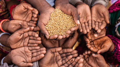 Undernourished and Overlooked: A Global Nutrition Crisis in Adolescent Girls and Women Report