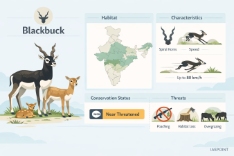Blackbuck